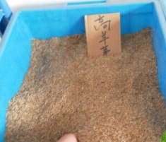 使用糊料時(shí)需要注意什么？